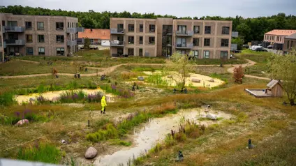 Grønt område i boligafdelingen Tømmerup Parken på Amager