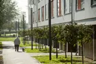 Kvinde går med hund foran lejlighedskompleks i boligafdelingen Agervang i Holbæk