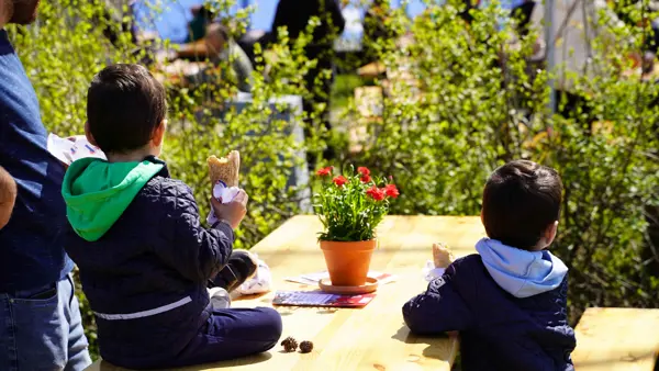 To små drenge sidder på bænk med ryggen til og spiser frokost. De har en rød potteplante-blomst imellem sig.