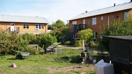 Omhegnet hønsegård i mellem rækkehusene i Munksøgård i Trekroner