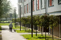Kvinde går med hund foran lejlighedskompleks i boligafdelingen Agervang i Holbæk